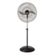 Ventilador De Pie Liliana Negro 25"