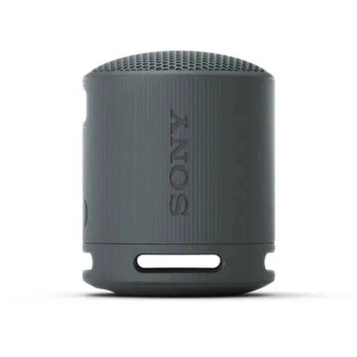 Parlante Sony SRS-XB100/BCLA Black