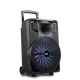 Parlante Carry Bt Rca 12Bt