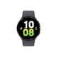 Smartwatch Samsung Galaxy Watch5 44Mm