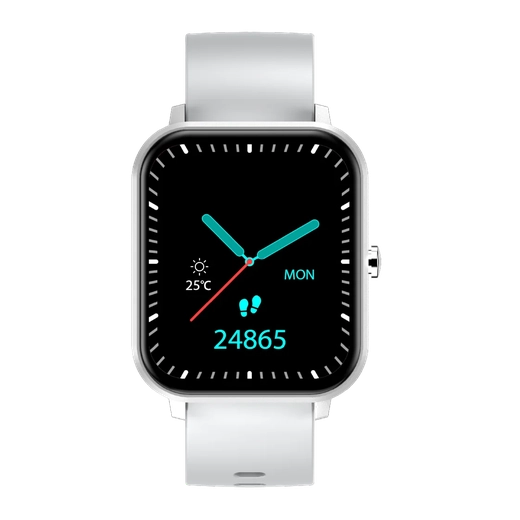 Smartwatch Foxbox Neutron Gris